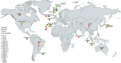 Colistin-Resistant mcr-1-Positive Escherichia coli ST131-H22 Carrying blaCTX–M–15 and qnrB19 in Agricultural Soil